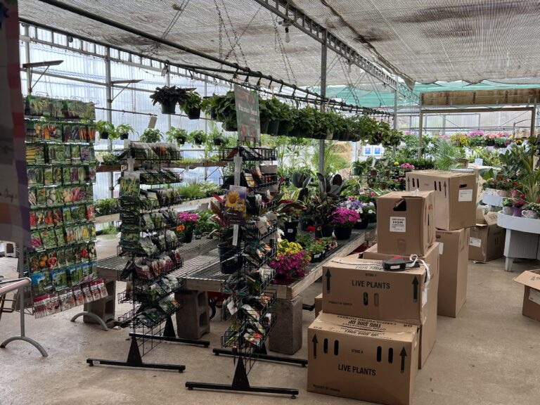 Wolfville: Hennigar’s Farm Market